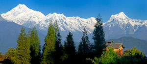 Sikkim and Darjeeling Delight