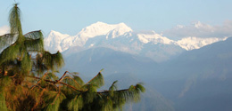 North East Delight with Pelling - Summer Special