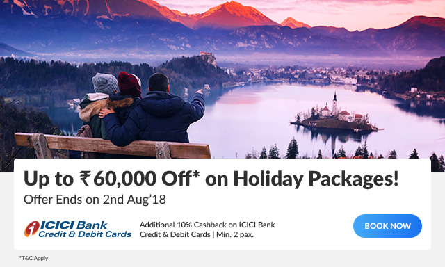 Up to Rs. 50,000 Off* on Holiday Packages