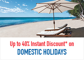 Up to 40% Instant Discount* on Domestic Holidays