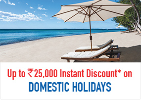 Up to Rs. 25,000 Instant Discount* on Domestic Holidays